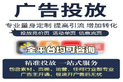 行业领先SEM服务公司案例研究